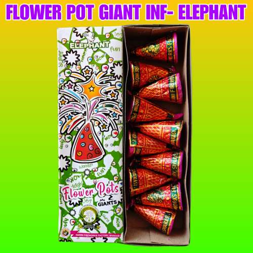 FP GIANT